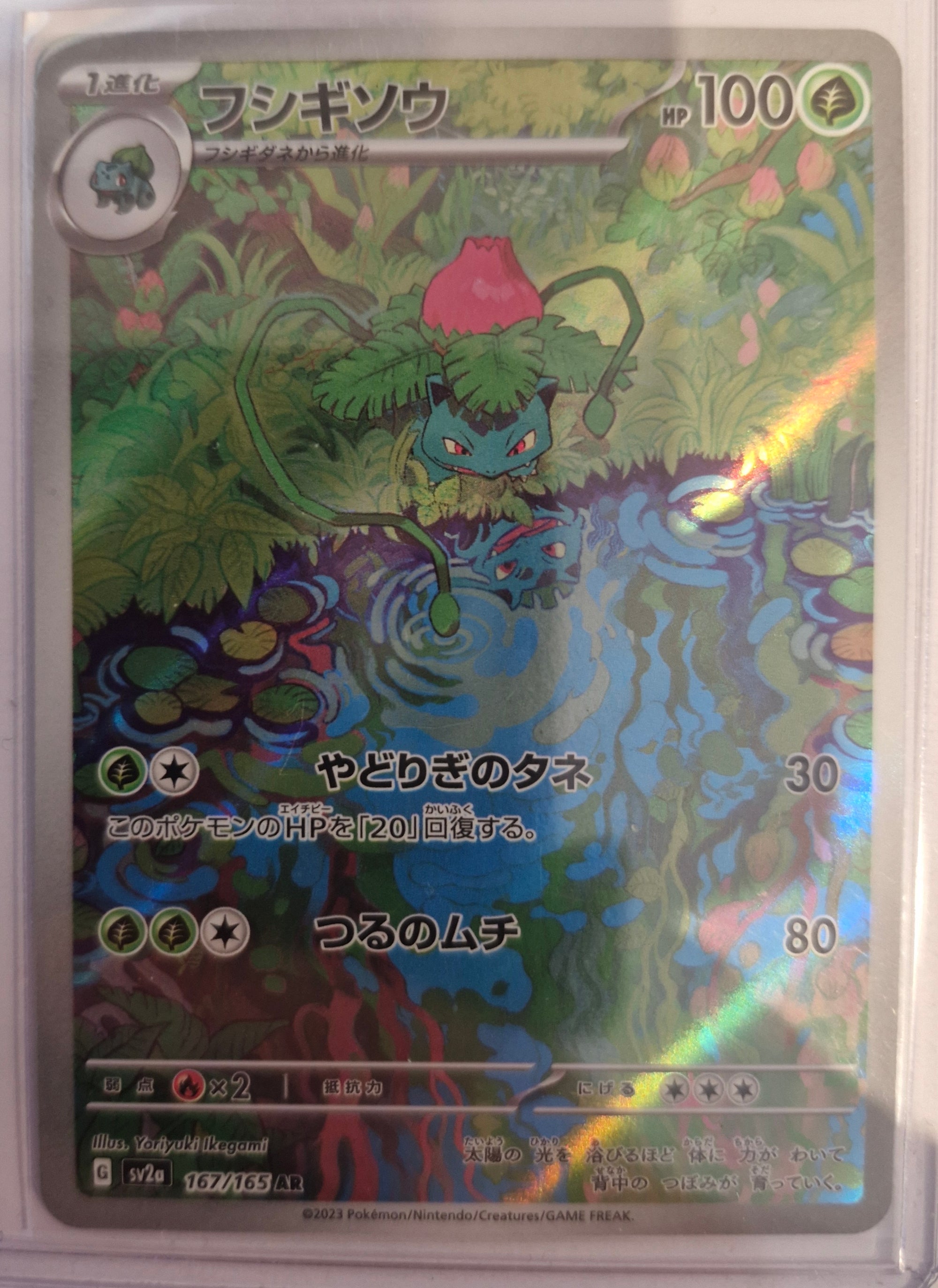 Ivysaur 151 Illustration Rare Japanese 167/165